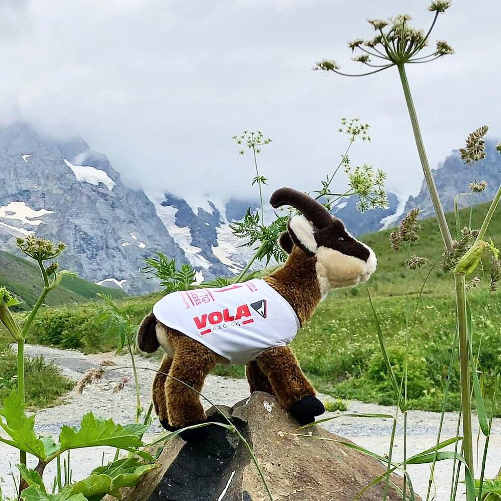 EARLY - Training - Monday 16 FEBRUARY